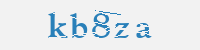 보안문자